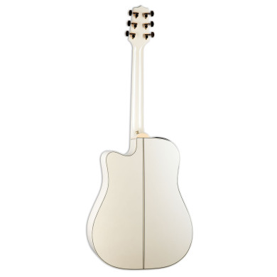 Dreadnought Ctw Elet G Series Pro