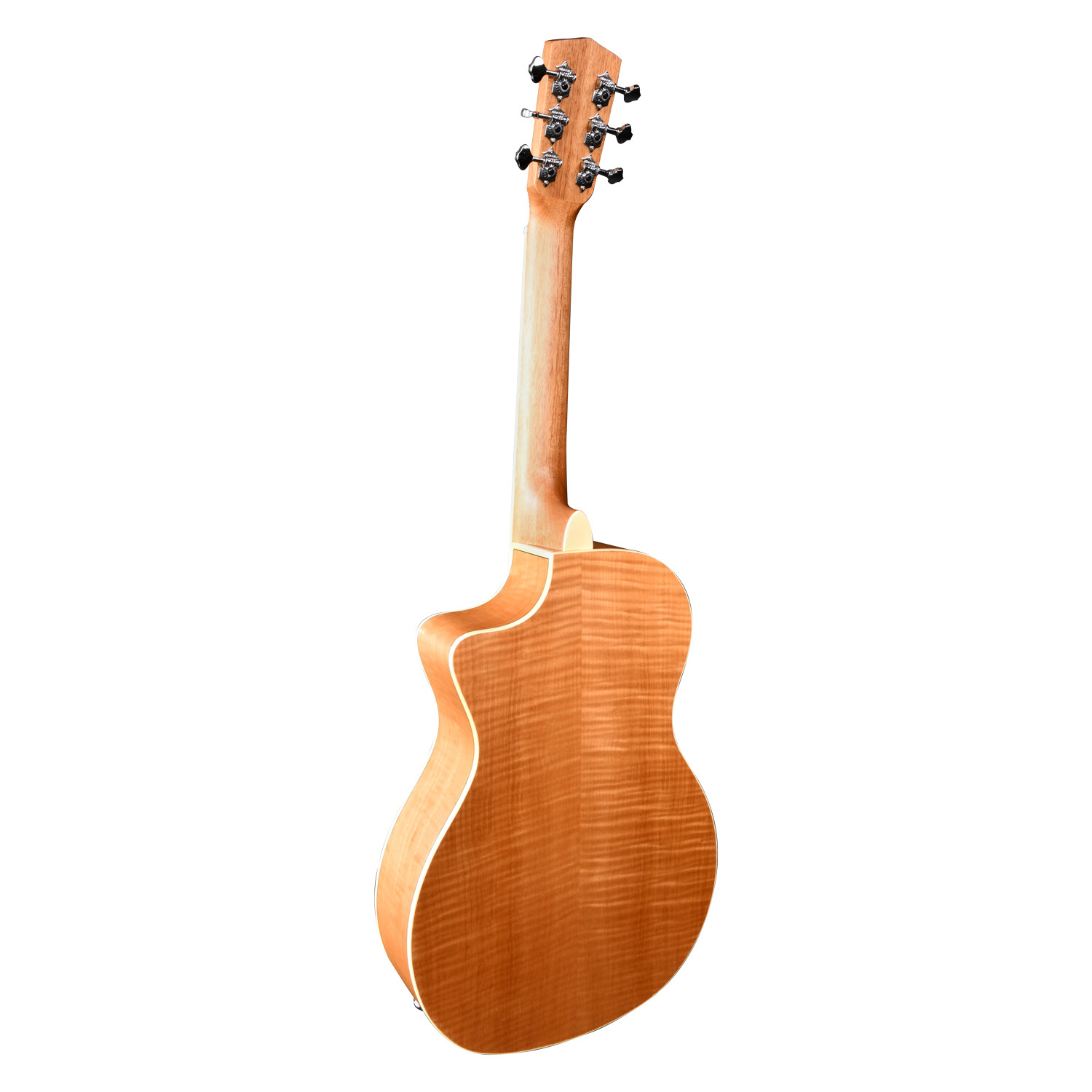 Chitarra resofonica wood elettrificata cutaway