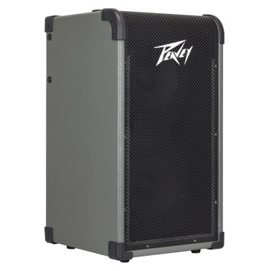 MAX 208 - 200W Bass Combo 2x8