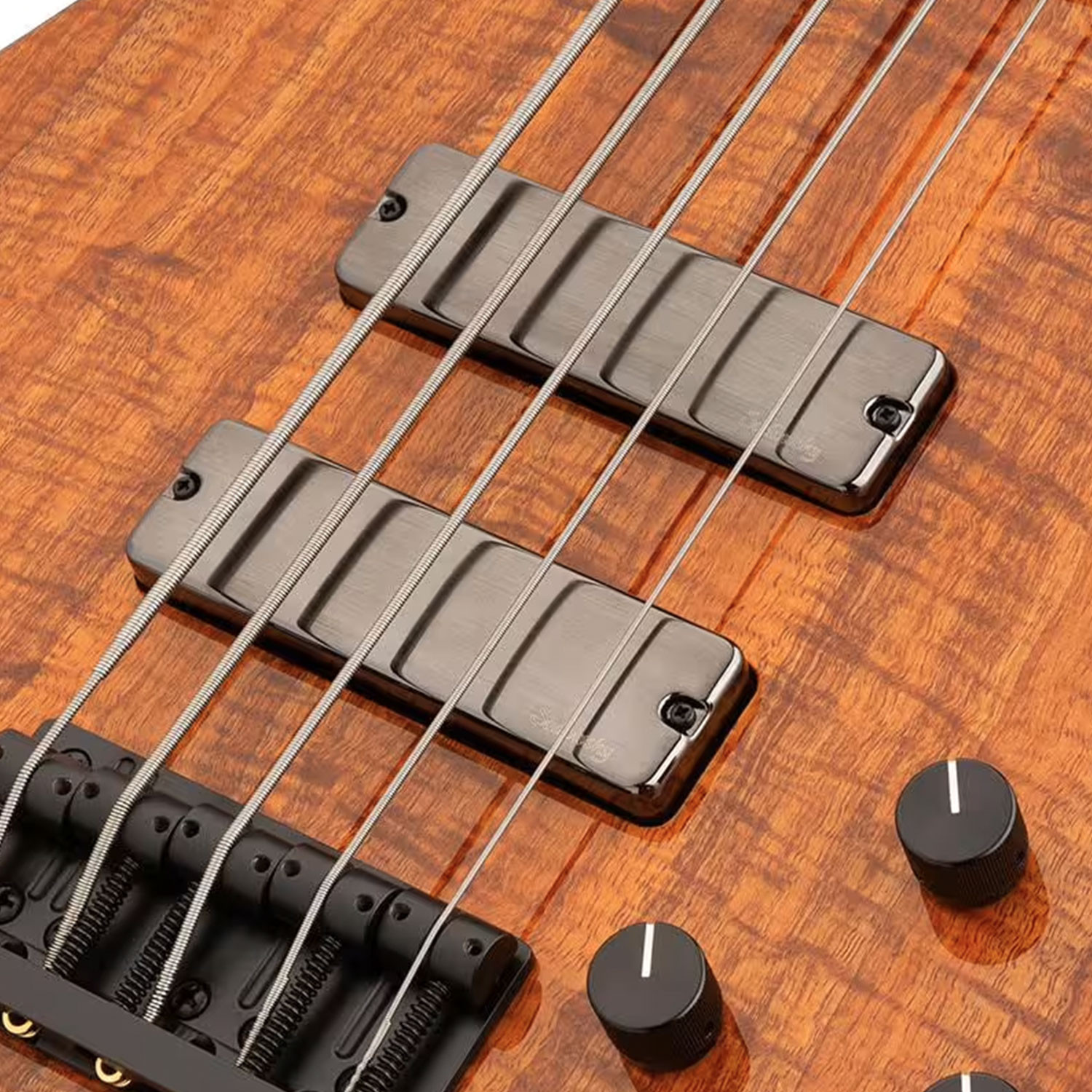 MasterBuilt Bass 5 24 Modern LTD 2025