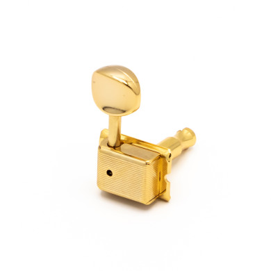 Meccaniche Standard 6L Gold