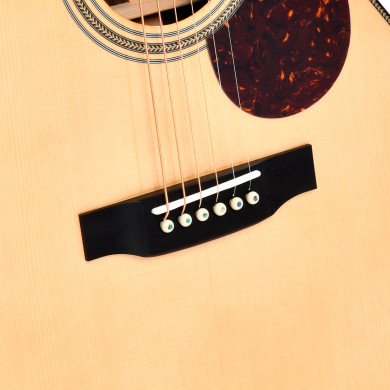 Limited Edition OM elettrificata