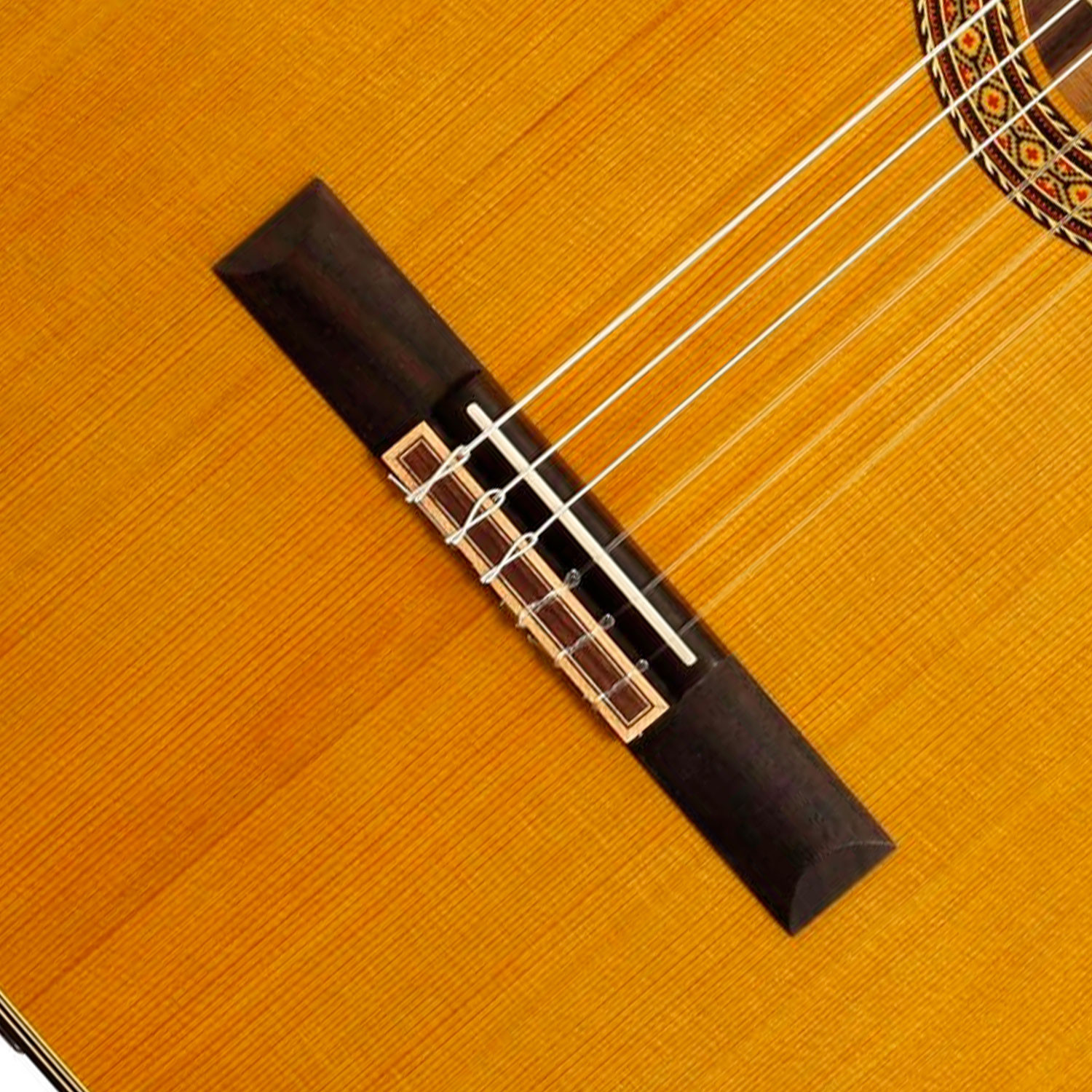 Classica Ctw Elet Pro Series