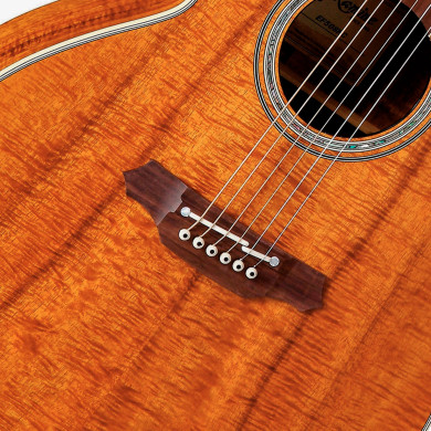 Nex Ctw Elet Legacy Series