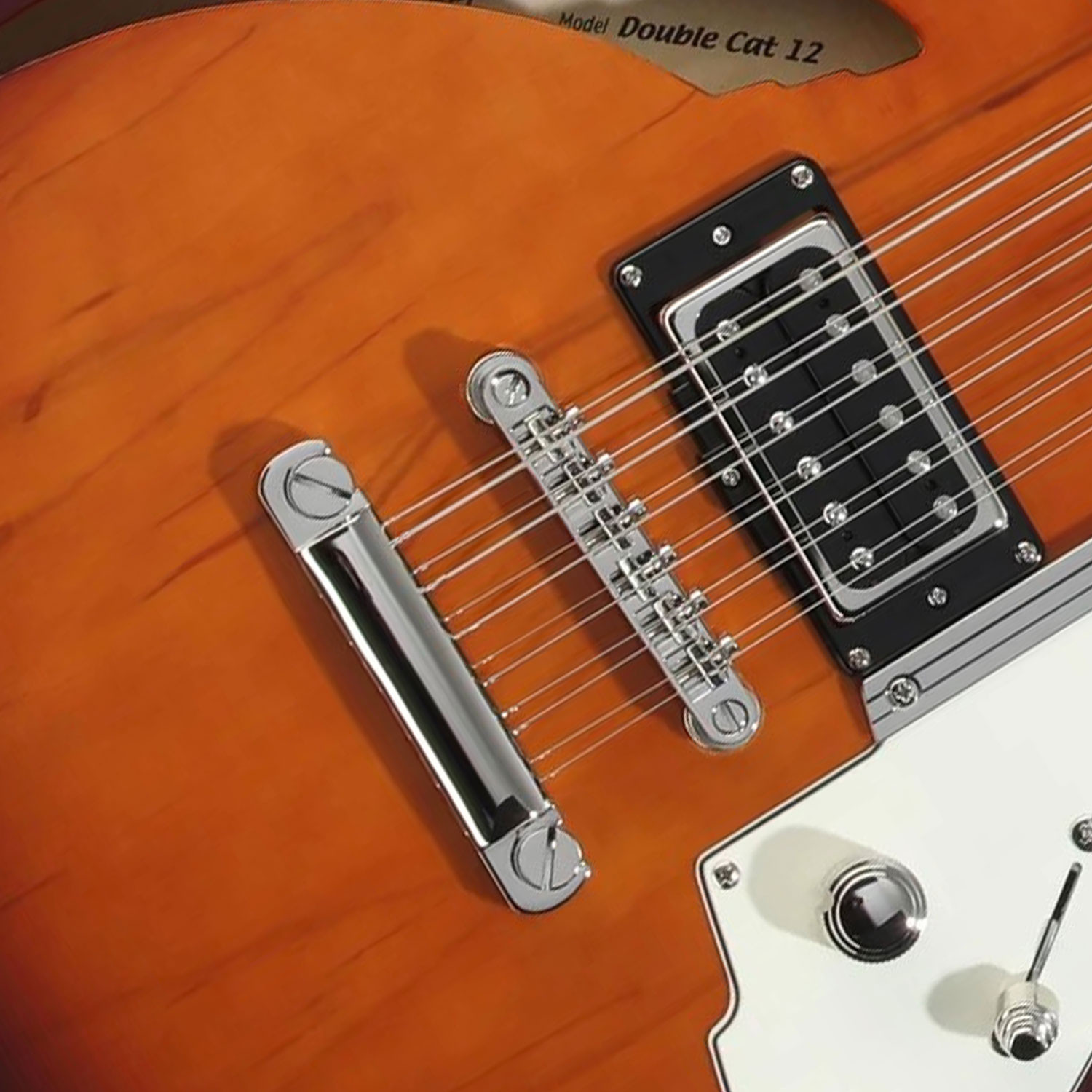 Double Cat 12 Strings Vintage Burst