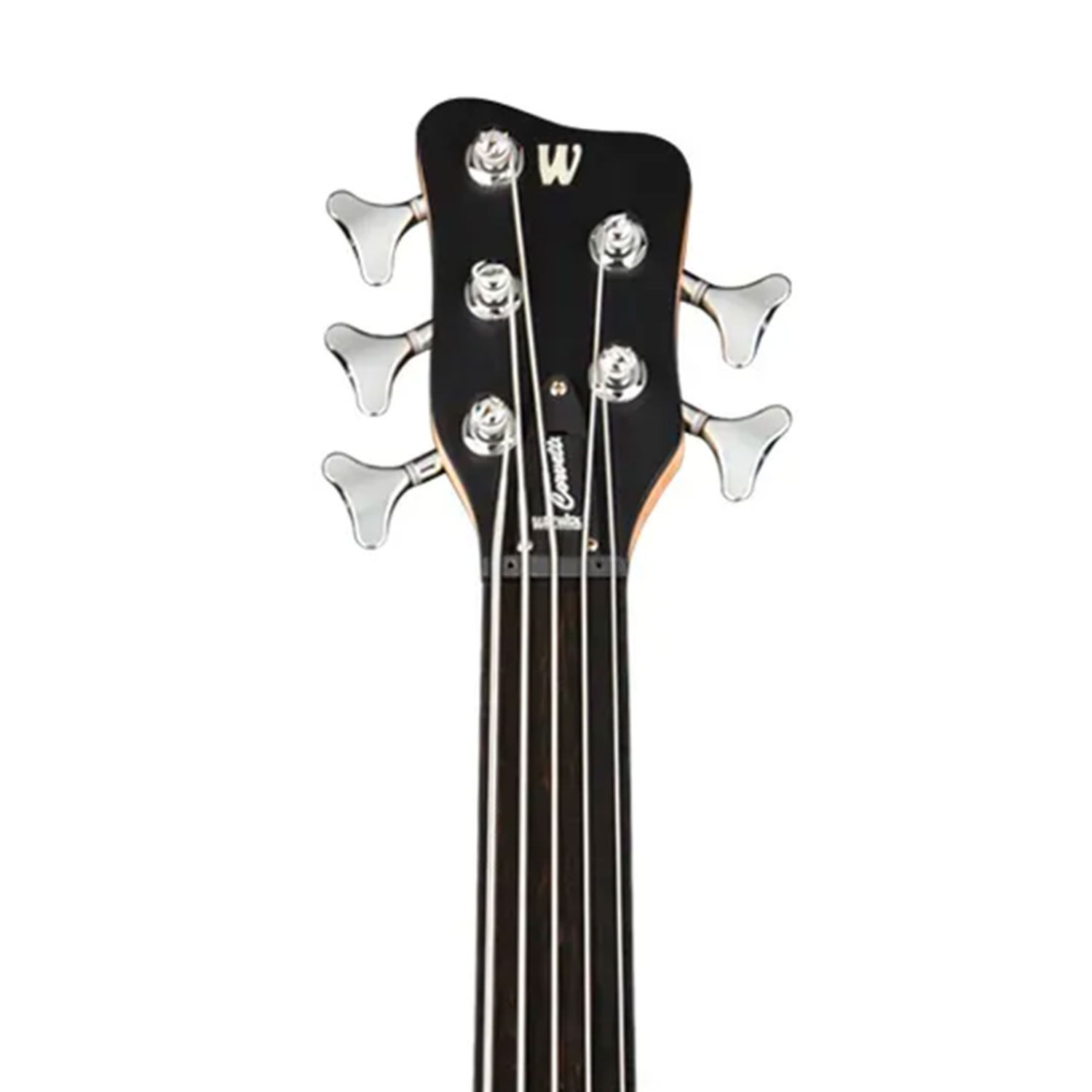 Corvette Basic 5 Fretless Nirvana Black Trans
