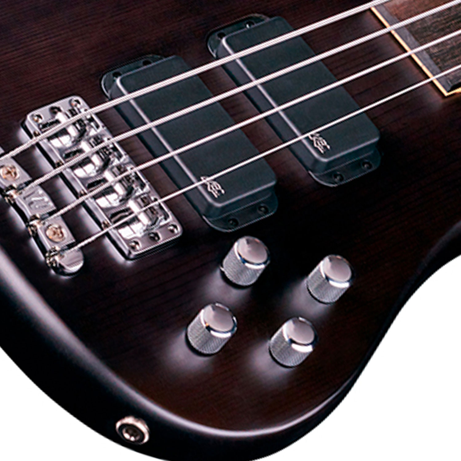 Streamer Standard 4 Fretless Nirvana Black Transpa