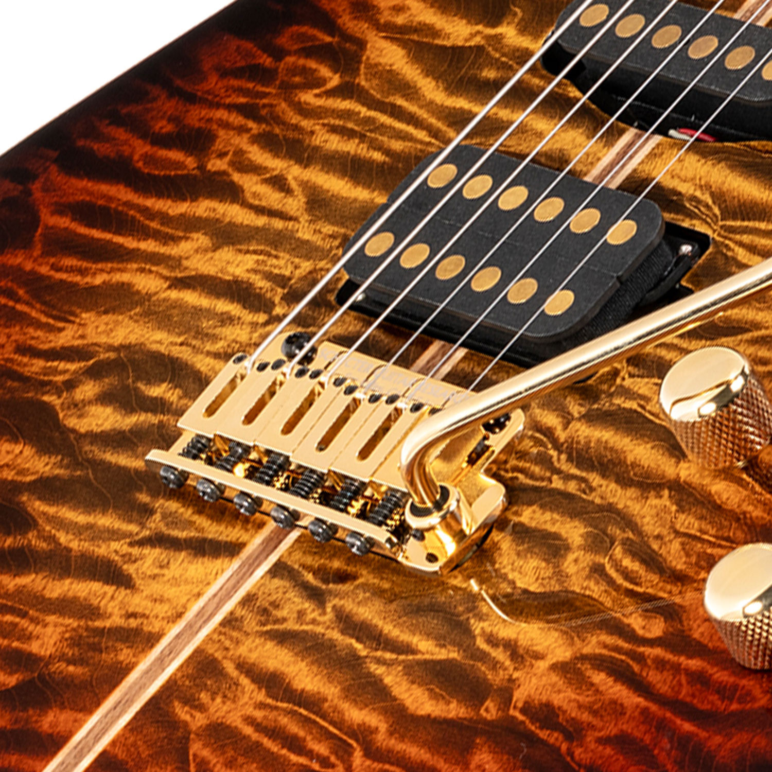 CET-HSS USA 50TH ANNIVERSARY