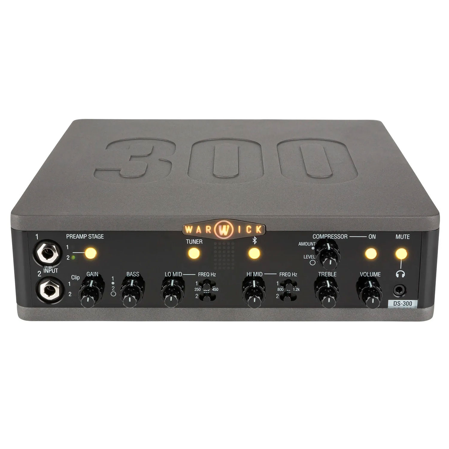 Double Stage Bass Amp Head 300W con USB