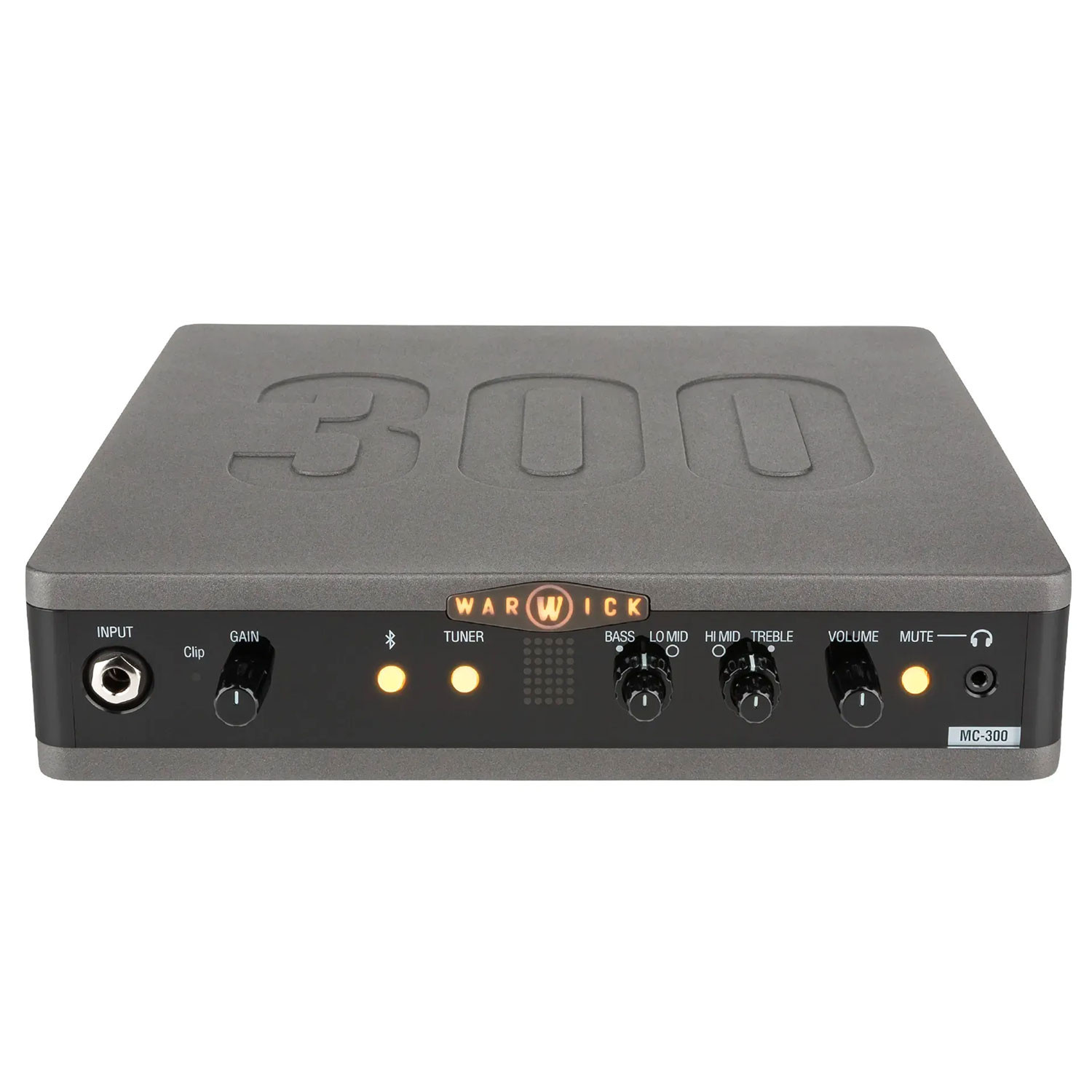 Multiconnect Bas Amp Head 300W con USB