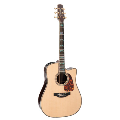 Dreadnought Ctw Elet Pro 10 Series