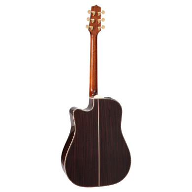 Dreadnought Ctw Elet Pro 10 Series