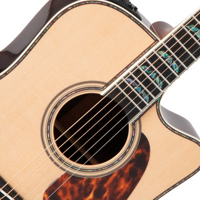 Dreadnought Ctw Elet Pro 10 Series