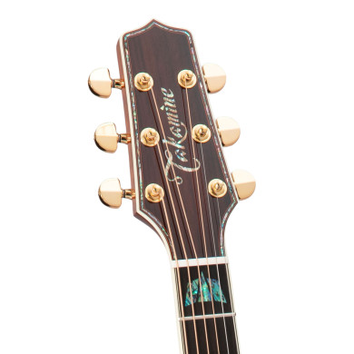 Dreadnought Ctw Elet Pro 10 Series
