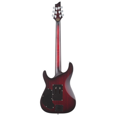 C-1 PLATINUM-6-FR-S-CRBS