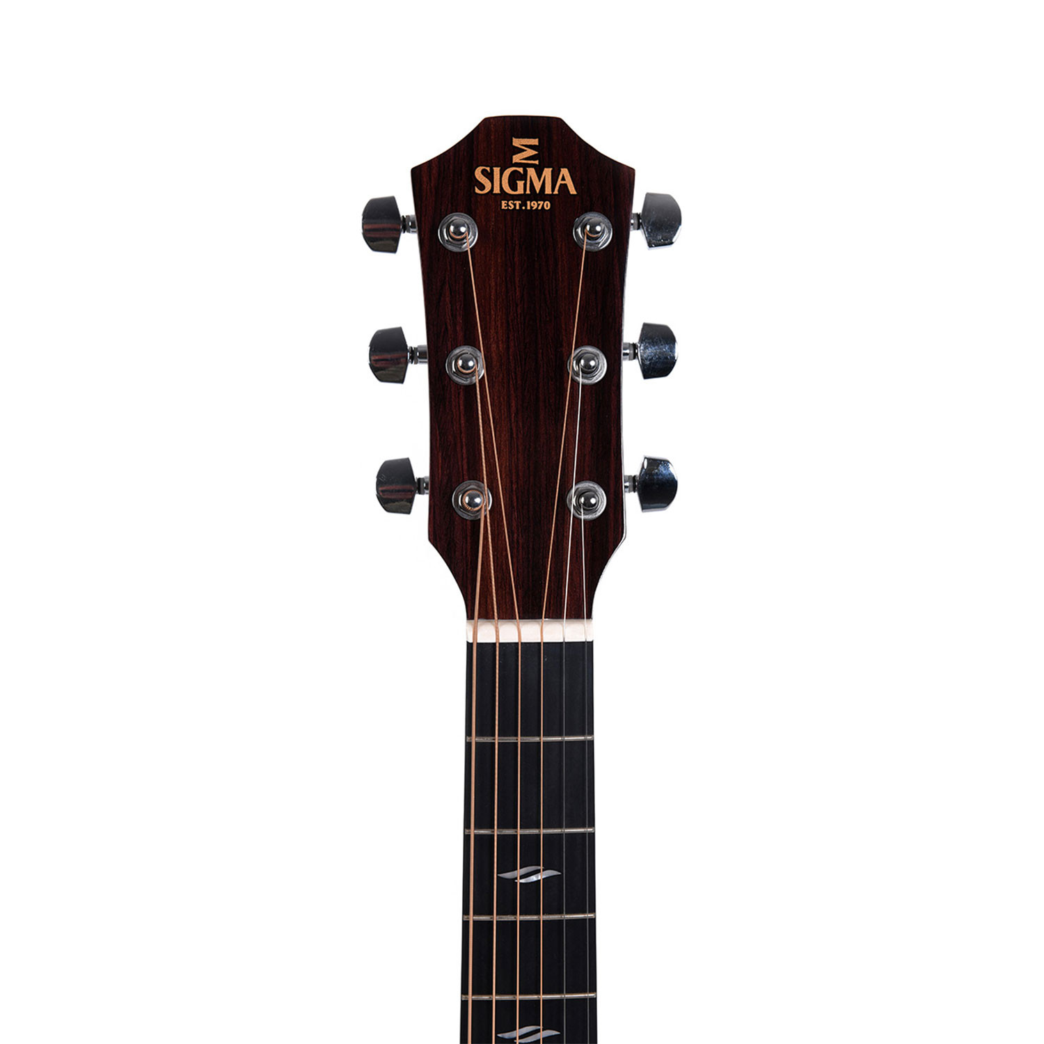 Special Edition Grand OM cutaway elettrificata