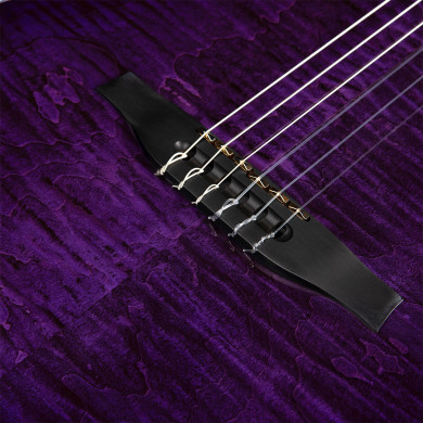 ACS Nylon Steve Stevens 25th Anniversary Ltd