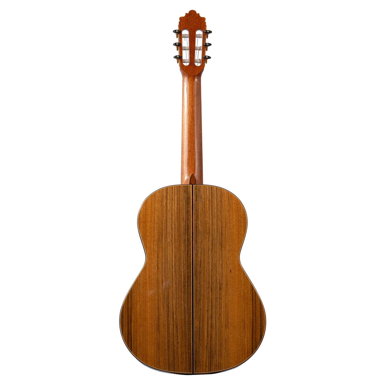Chitarra Classica 4/4 All Solid