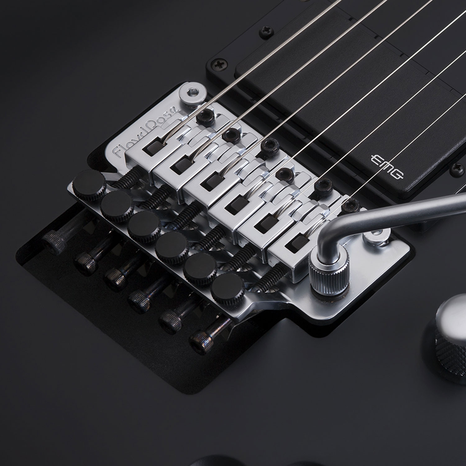 DAMIEN PLATINUM-6-FR-S-SBK