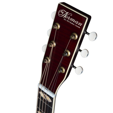 ST50 Cherry Burst HG Anthem