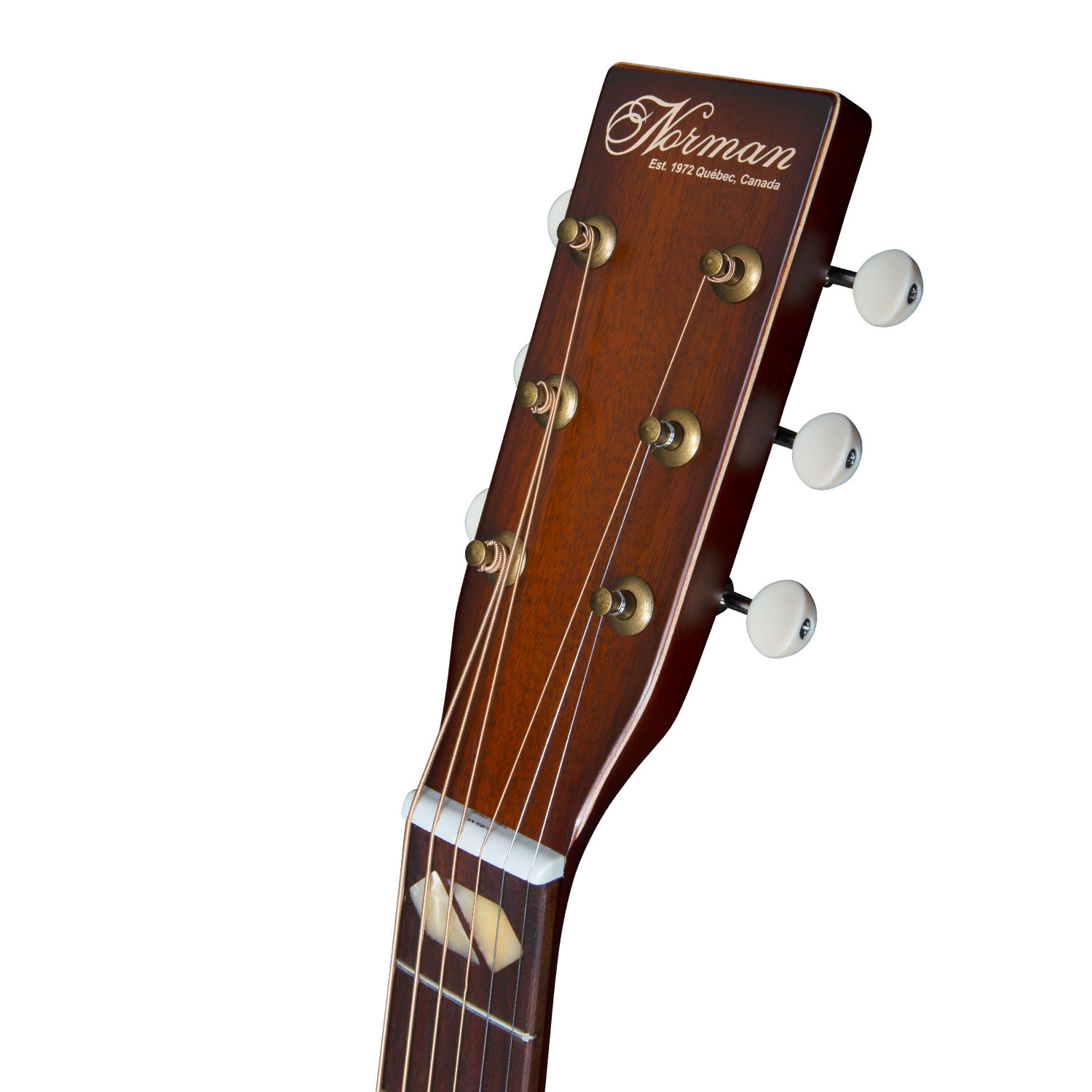 ST30 MJ Havana Burst Element