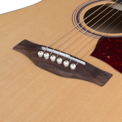 B20 Natural GT Presys II