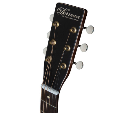 B20 Natural GT Presys II