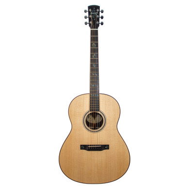 03 Deluxe SE Larrivee Elet