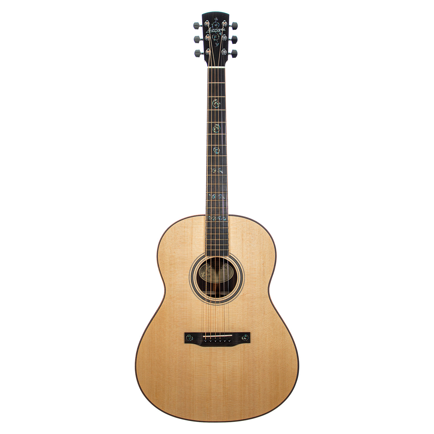 03 Deluxe SE Larrivee Elet
