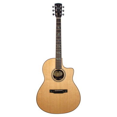 03 Deluxe SE Larrivee Venetian Ctw Elet