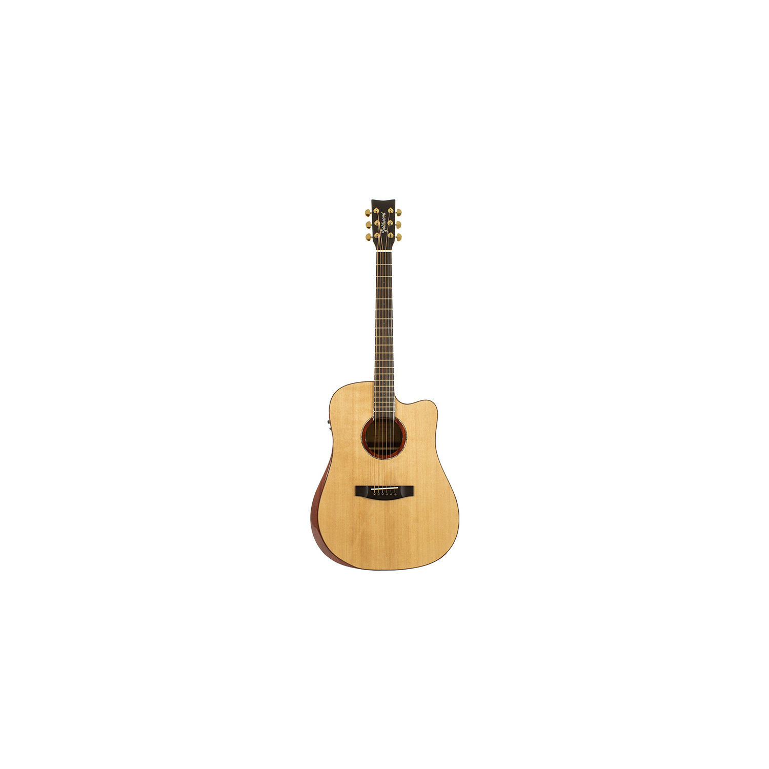 Collina Dreadnought Cutaway Armrest Ed.