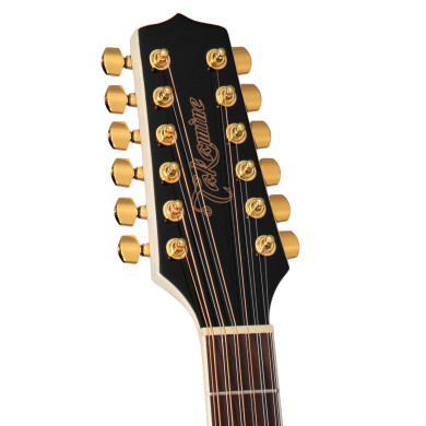 Dreadnought 12 Ctw Elet G Series Pro