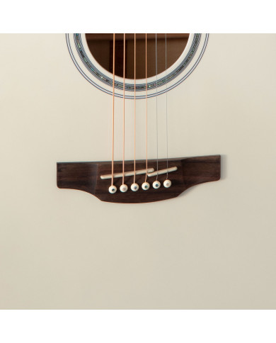 Dreadnought Ctw Elet G Series Pro