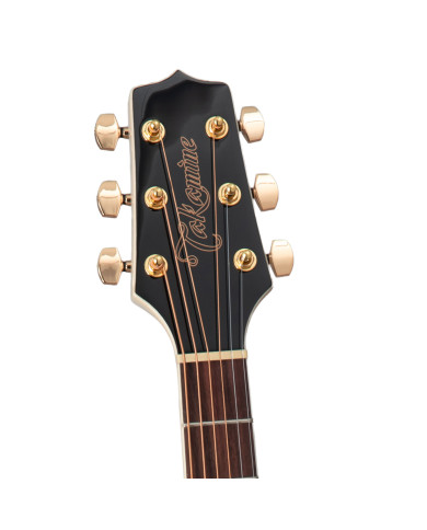 Dreadnought Ctw Elet G Series Pro