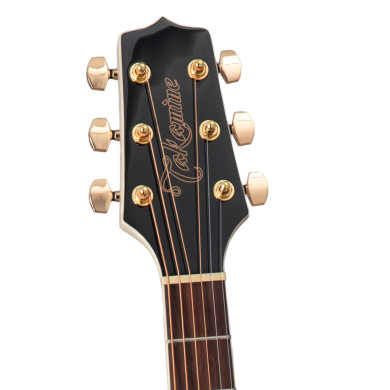 Dreadnought Ctw Elet G Series Pro