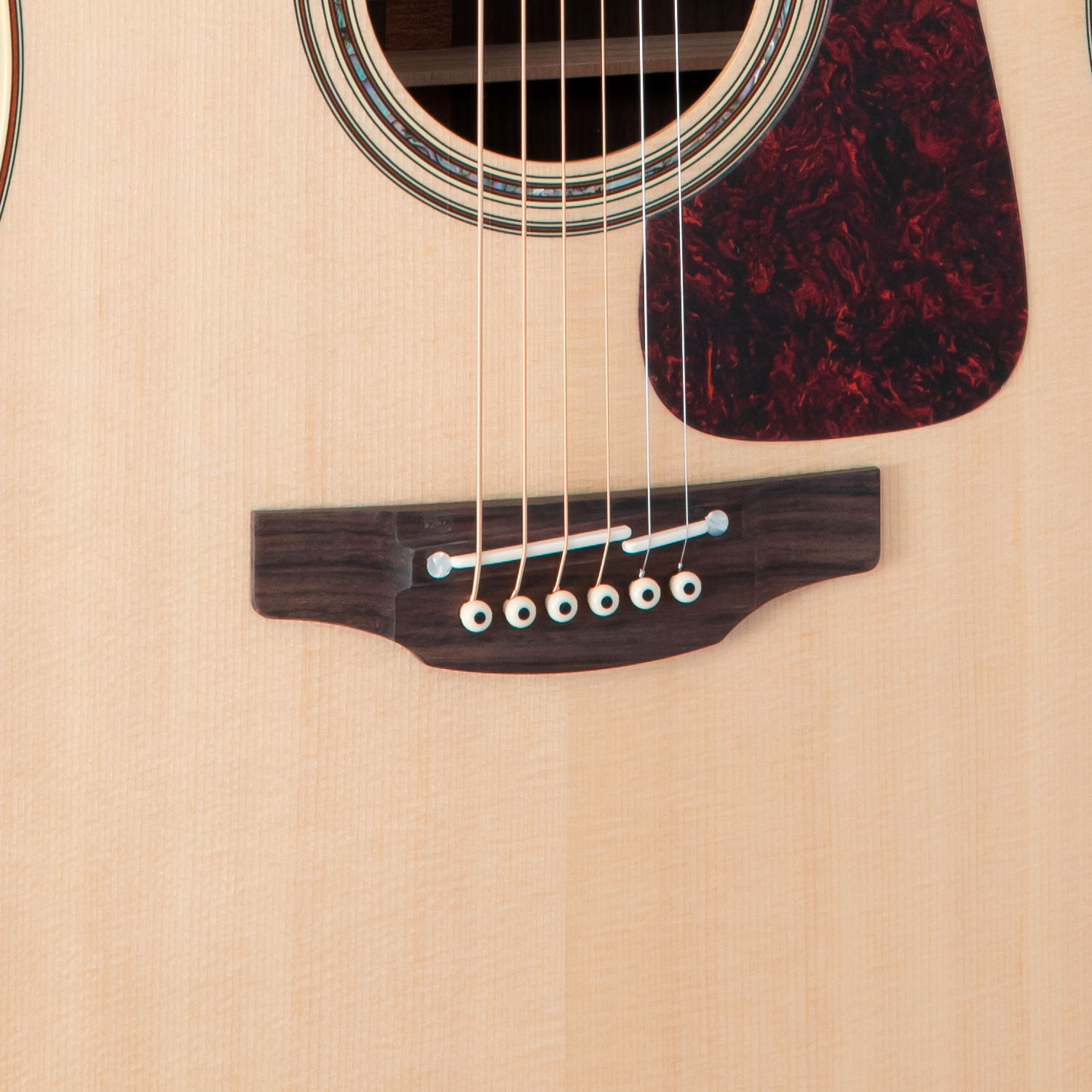 Dreadnought Ctw Elet Pro 5 Series