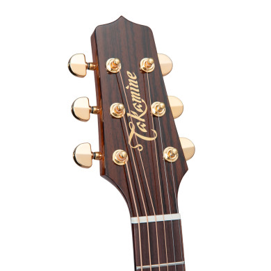 Dreadnought Ctw Elet Pro 5 Series