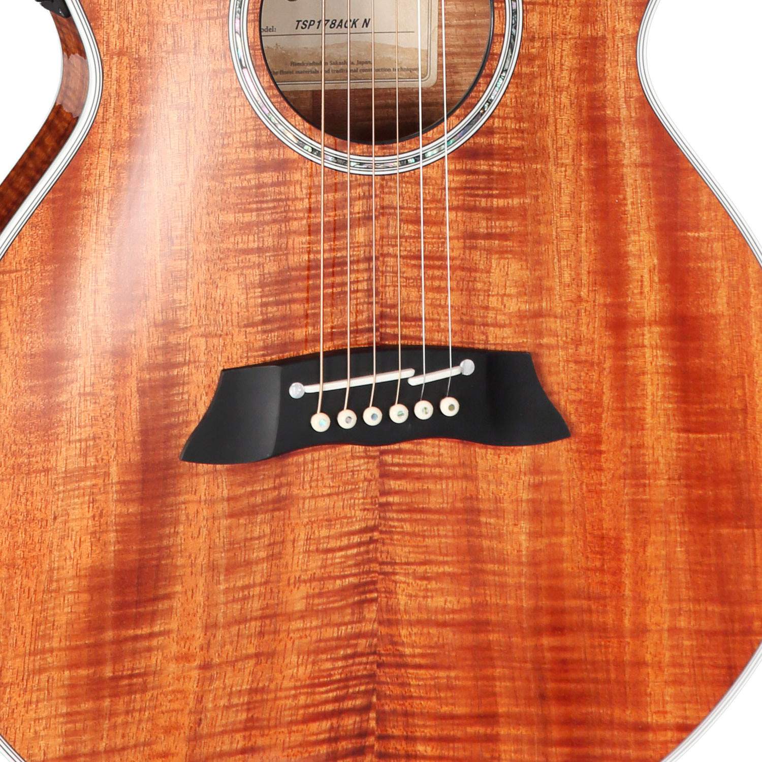 Fxc Ctw Elet Thinline Series