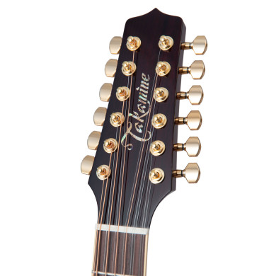 John Jorgenson Signature 12 corde
