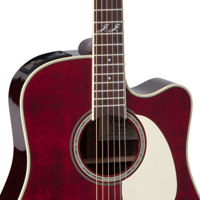 John Jorgenson Signature 6 corde