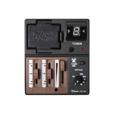 John Jorgenson Signature 6 corde