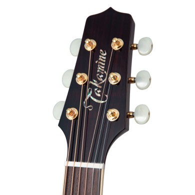 John Jorgenson Signature 6 corde