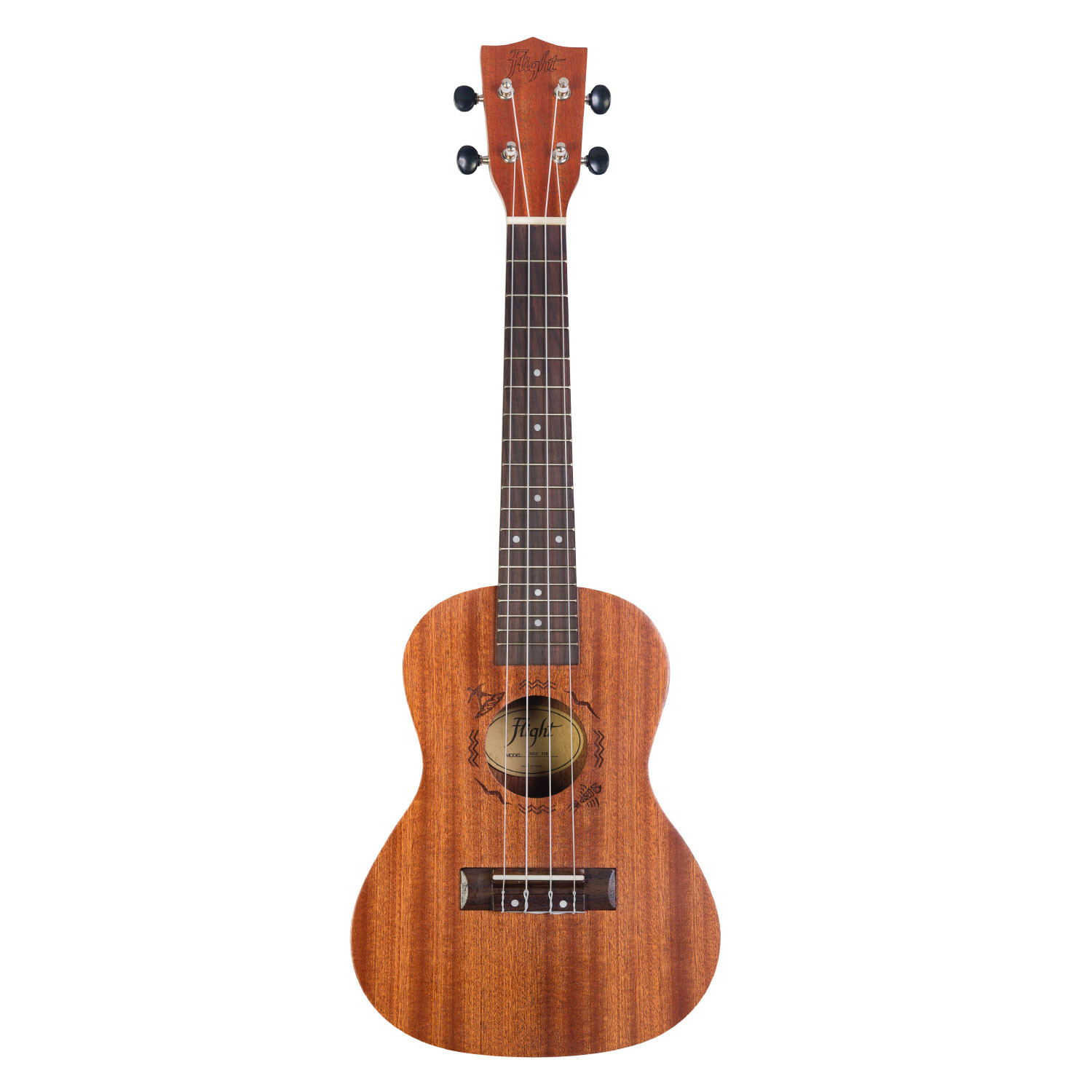 NUC310 Ukulele concerto