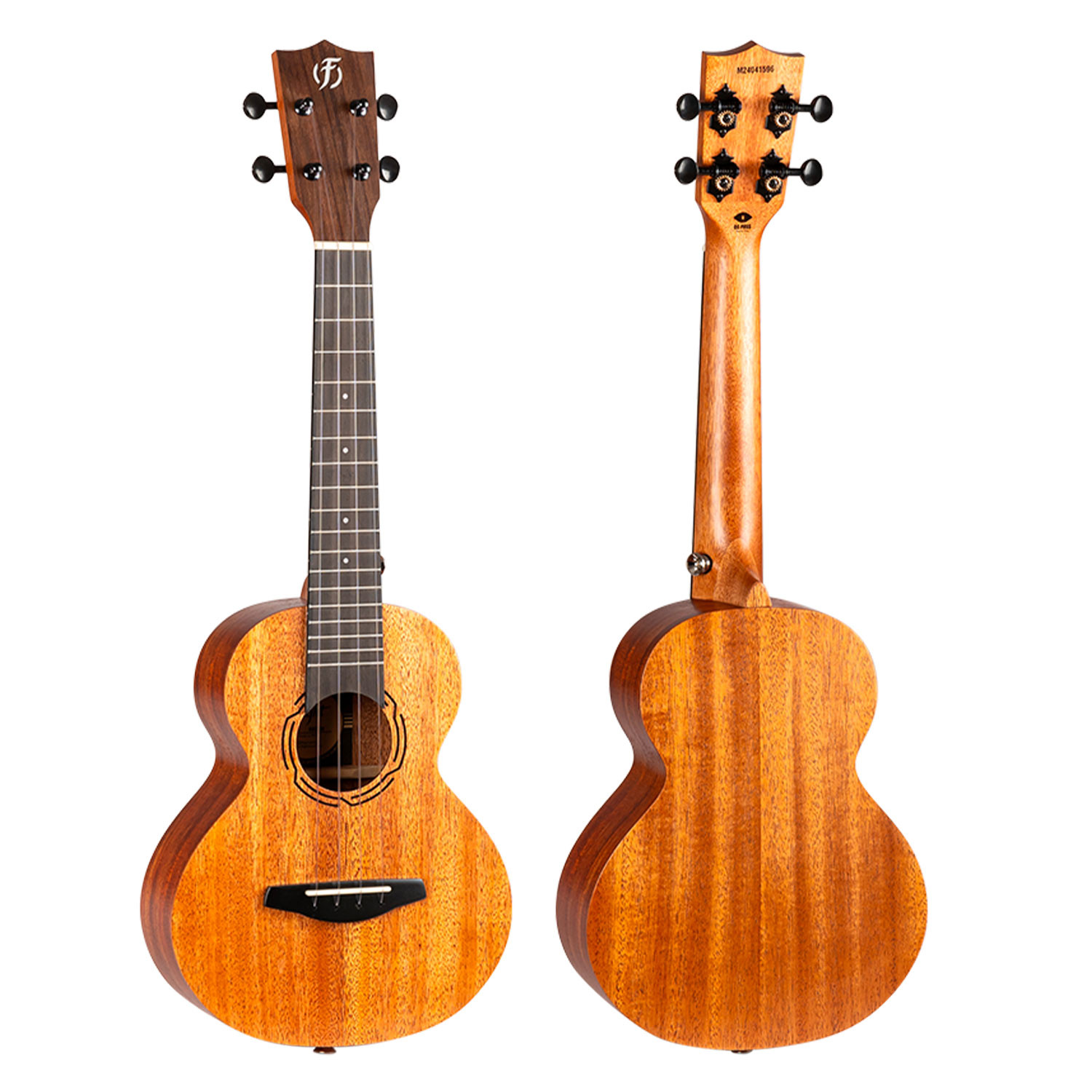 NUC500 Ukulele concerto