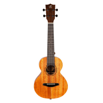 NUC500 Ukulele concerto