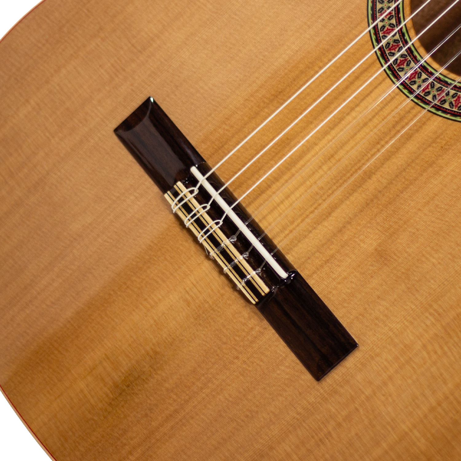 Chitarra Classica 4/4 Cutaway Student