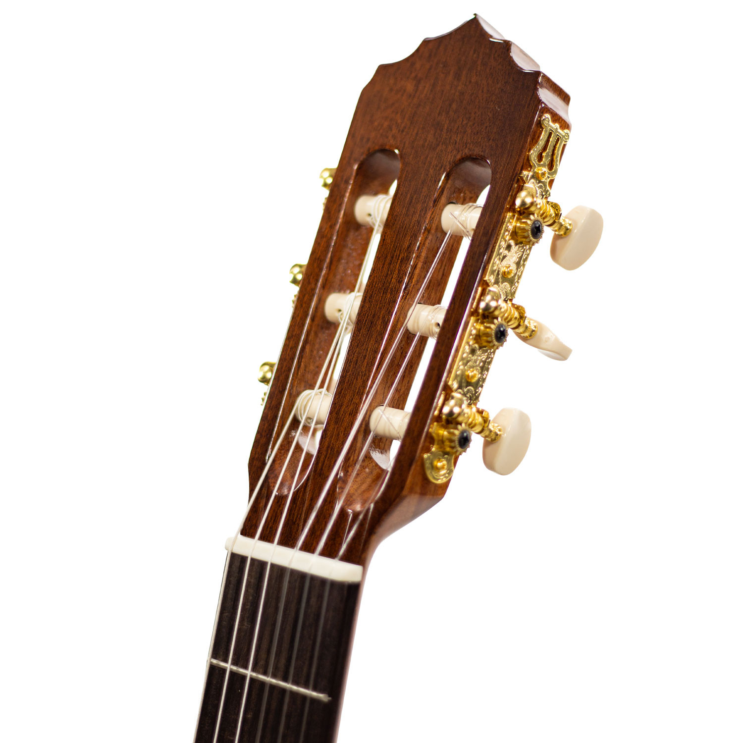 Chitarra Classica 4/4 Cutaway Student
