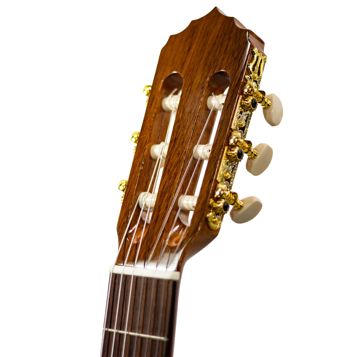 Chitarra Classica 4/4 Cutaway Student