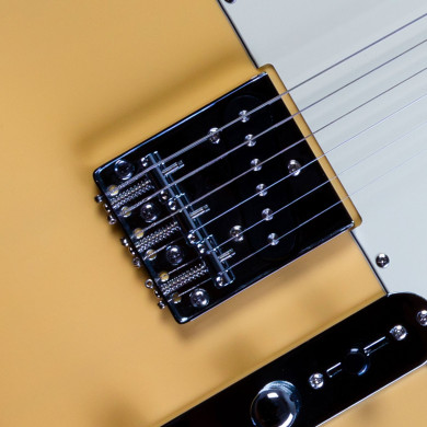 JT-300 BTS Chitarra elettrica SS