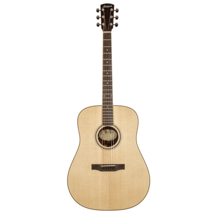 03 Rosewood Dreadnought Elet